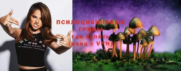 прущие крисы Заводоуковск